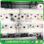 Leno knitted crystal hdpe anti hail net
