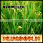 Huminrich Leonardite Water Soluble 75% Potassium Fulvic Acid Super Grow Fertilizer