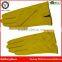 Wholesale Factory Polyester Lined Womens Imported Gloves in Winter