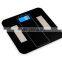 Electronic body fat scale