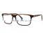 Latest Fashion Design Acetate Eye Reading Glasses