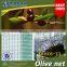New Arrival, HDPE olive collection net long life