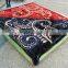 Manufactory walmart  china home textile dolphin mink baby toys double mink blanket