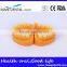 Double-Color Dentition Model School Education Teaching Model