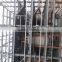 80KL China reactor manufacturer to make EPS raw material