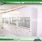 Lab equipment/Lab furniture fume hood/Industrid exhaust hood/Chemical fume hood/Fume Hood for steel