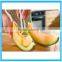 Fruit Melon Pulp Tool Kitchen Tools Melon Pulp Remover Pulp Tools Melon Scoop