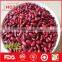 Hot sale red kidney beans with great quality and price
