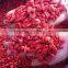 Dried Goji Berry 2015 Harvest