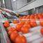 Sweet And Delicious Chinese Navel Orange