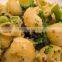 Lumache Pasta Nb#1, Healthy Mediterranean Short Pasta with FDA, Macaroni in 500g Bag, LUMACHE.