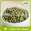 2015 New Crop Food Grade Green Mung Bean From China