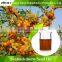 100% pure sea buckthorn seed oil
