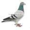 Artificial Feathered white pigeon Bird sound decoy dove