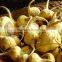 MACA Extract /Lepidium meyenii/Maca Root P.E./Pure Maca Extract