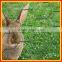 China  3/8 inch PVC hexagonal rabbit cages wire mesh