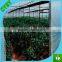 anti uv protection quality plastic rain cover /woven fabric greenhouse cover film/rain cover for strawberry plants