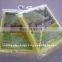 Agricultural garden used PE mulch film for greenhouse