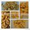 Nourishing between-meal nibbles dough processing production line