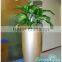 Hotsale decorative plant pots indoor with self watering