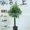 CHY030928 Potted money bonsai tree/high initation fake tree with good futurn