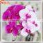 Factory wholesale artificial orchid flowers for decoration