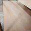 2019 hot selle poplar core okoume plywood from Fushi Wood Group