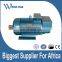 electric motor of log splitter