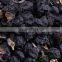 Organic Black Goji