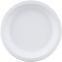 Biodegradable and Disposable Eco-Friendly Super Rigid 9 inch Bagasse Plates