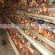 Anti rust Africa poultry farm used chicken egg layer cage for sale
