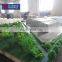 High quality factory 3d architectural models for sale for bidding