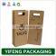 Promotion Cutom Color Printing Paper Gift Bag