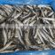 High  quality frozen whole round anchovy fish for processing