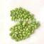 Sinocharm BRC-A Approved  IQF Frozen Soybean Kernel Frozen fresh sweet Edamame Kernel