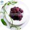 HIGH QUALITY FRESH FROZEN WAXBERRY RED BAYBERRY