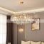 Contemporary Villa House And Office Decorate Lighting LED Pendant Lamp