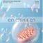 2022 hot sale Silicone Massage Shampoo brush for  does not hurt the scalp