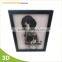 customized PP picture PET picture lenticular picture with LED 3d lenticular picture 3d picture