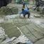 Vietnam Robusta Coffee Bean