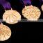 plastic award medals, plastic blank award medallion, ABS plastic medals                        
                                                Quality Choice