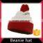 Hot sale 100% polyester winter beanie cap