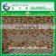 China new arrival design fancy fashion nylon embroidery lace