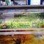 Large advertising cloth arcylic /billboard UV Printer/hybrid digital UV printer