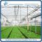 Greenhouse Sprinkling Irrigation for vegetables