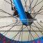 New Product Blue Big Tyre Snow Sand Beach Fat Bike