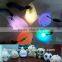 Led Light up Sea Animal