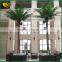 china supplier artificial coconut palm tree sale                        
                                                                                Supplier's Choice