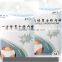 Factory direct supply disposable underwear for male