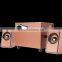 Wholesale mini wooden OEM/ODM best selling audio 2.1speaker